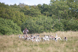 Lakeland Hunting Pictures by Betty Fold Gallery